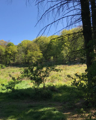 'Precipitation is in the area'.