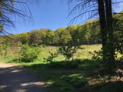 'Precipitation is in the area'.