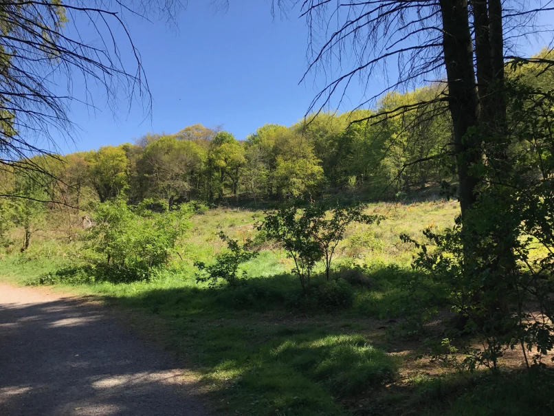 'Precipitation is in the area'.