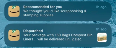 A screenshot of two Amazon alerts, one showing an upcoming delivery of 150 compost bin liners, one showing a recommendation for ‘scrapbooking and stamping supplies’.