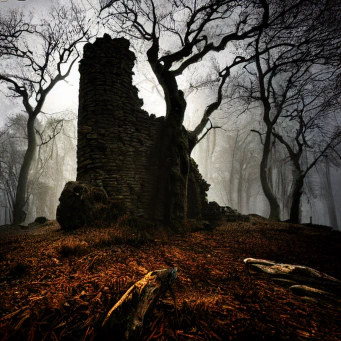 A thick wall of stone that may be the ruin of a tower, set in a sparse, autumn forest. A large tree grows in front of, or into, the wall of stone. Orange and red leaves layer the foreground.