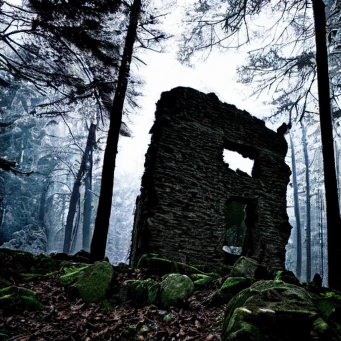 The single-walled remains of a fort-like structure in a brightly-lit forest clearing. The white light suggests winter and snow in the background.