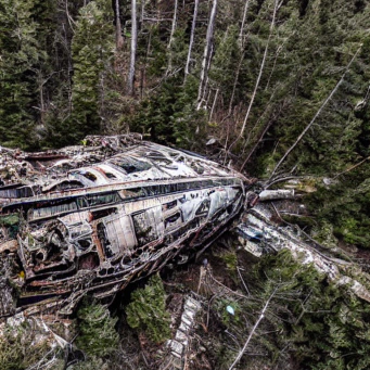A loosely-conical fallen technological structure lying against broken trees in very dense woodland; clearly abandoned and ruined, covered in openings and fissures.