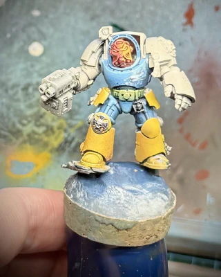 Slowly adding more paint over the primer of this Bombadil-ised Terminator mini. A freehand of clouds and tiny birds has been started on his sky-blue ‘jacket’.