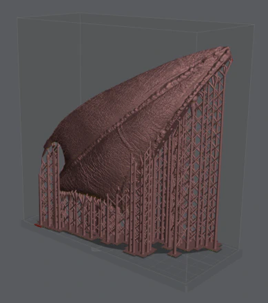 An image taken from a 3D slicer showing one part of one wing from the mind-bogglingly huge Drogon 'miniature' which completely fills the build volume of a Mini 8KS.