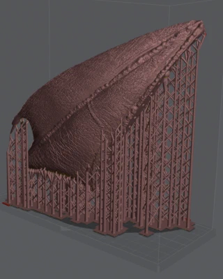 An image taken from a 3D slicer showing one part of one wing from the mind-bogglingly huge Drogon 'miniature' which completely fills the build volume of a Mini 8KS.