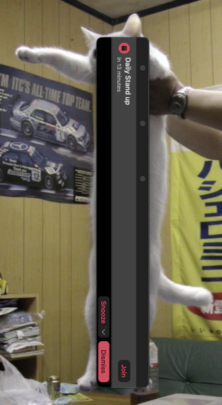 The Microsoft Outlook notification popup is currently 1656 pixels wide and not yet sated…