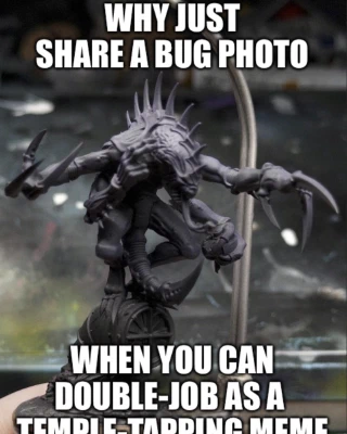 It’s a friendly space guy! Some arms are spread as though to welcome the viewer into a warm embrace, one is clutching the head of a pal, one is performing the pstandard psychic pstance. It is, for reasons of its own, also executing a Spider-Man squat on a handy bit of floor piping.

It has a dark-purple basecoat of paint on its body, over black primer still visible on the pipe.

The image has been meme-ified to include a ‘why just share a bug photo’ header and ‘when you can double-job as a temple-tapping meme’ footer.