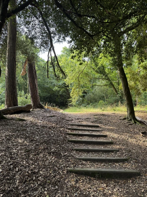 Walking through the leafy green trees of Castle Park in the Great City of Bangor. Half-sunk beams make the hill a little natural staircase leading gently upwards.